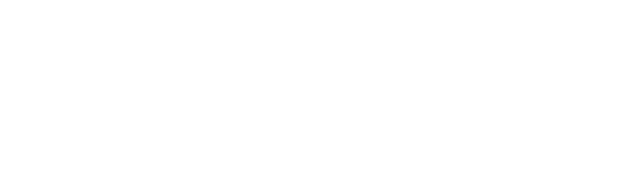 Herren Project logo