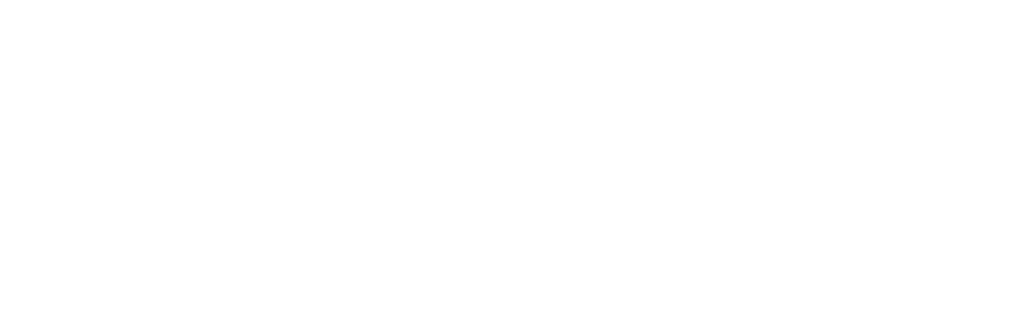 Tallyfy logo